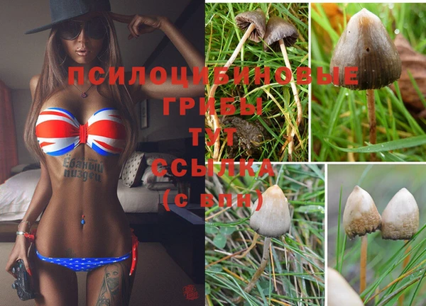 МДПВ Краснотурьинск