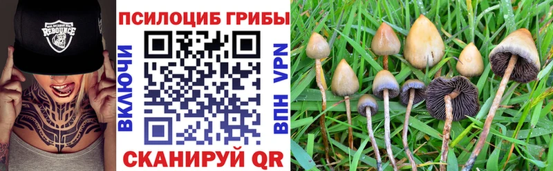 Псилоцибиновые грибы Magic Shrooms  Купить где  Карабаново 